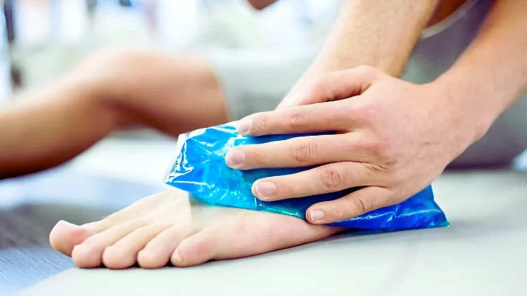ice packs for shipping food with Maximum Freshness Protection