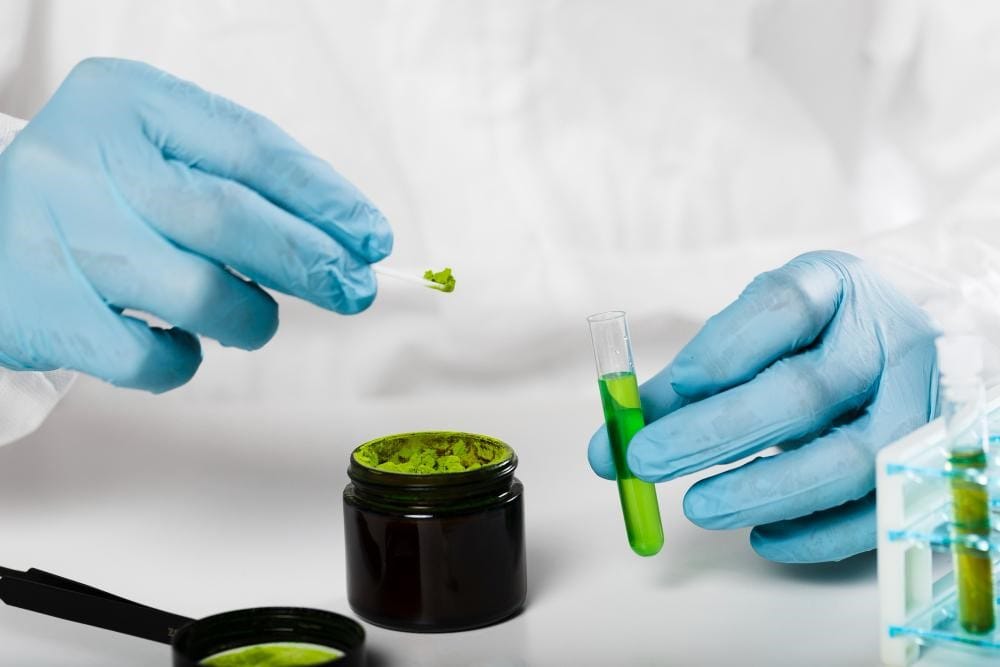 Lab-Tested Kratom Thailand for Beginners