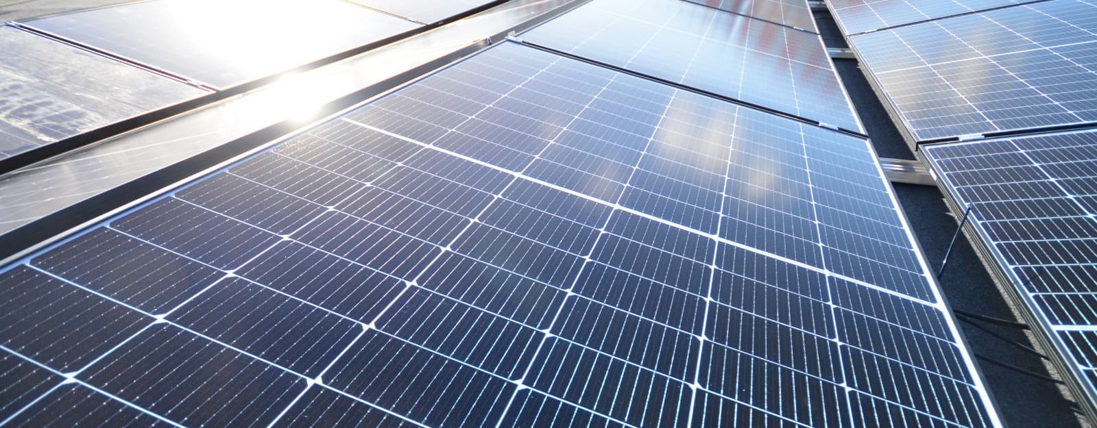 Affordable Solar Panels Newmarket for Homes and Businesses