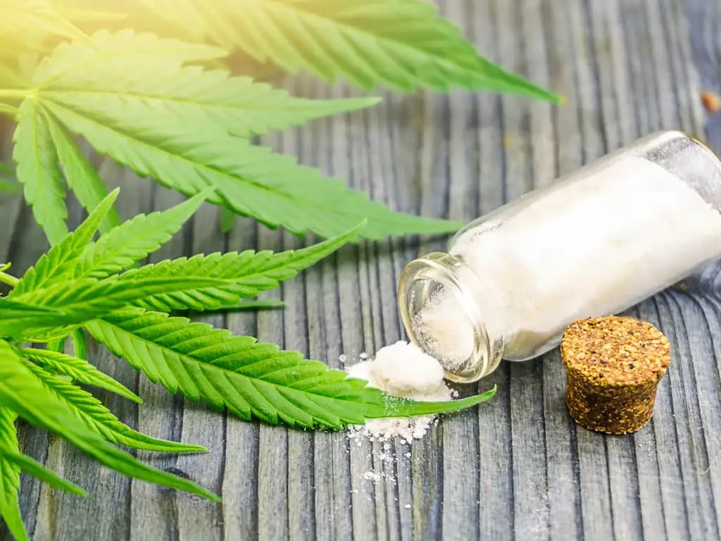 Miami Rave – The Ultimate Destination for CBD and THC Infused Treats