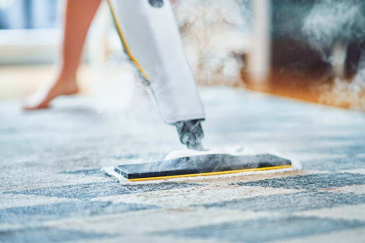 Veteran-Owned Carpet Cleaners Roseville CA You Can Trust