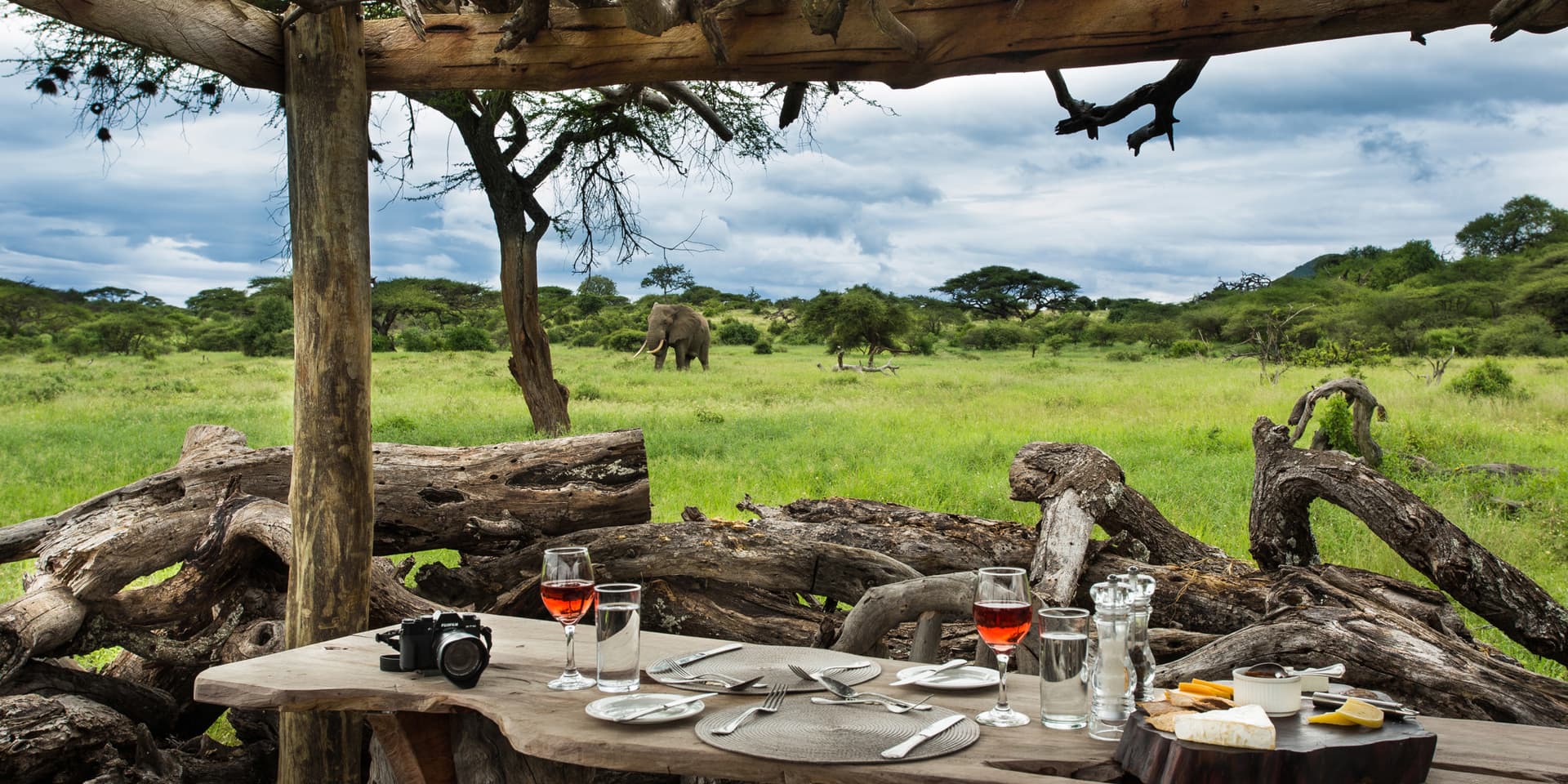 The Ultimate African Safari Experience – Handcrafted Journeys