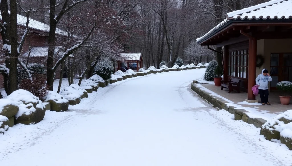 カーリースで新車を楽しむ様子を示す重要なシーン。