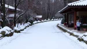 カーリースで新車を楽しむ様子を示す重要なシーン。