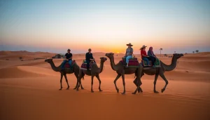 Agafay Desert camel ride at sunset, showcasing travelers enjoying the serene landscape and vibrant colors.