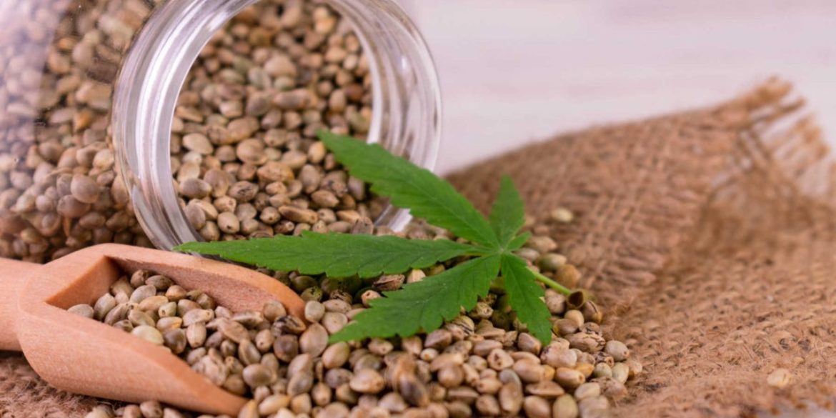 Marijuana Madrid | Responsible Access Support from Clubs Cannabis Madrid