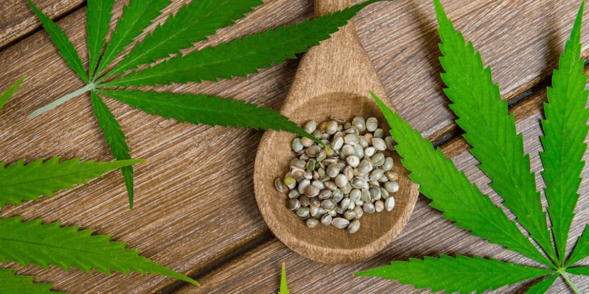 Donkey Butter Strain Packs at Bud Cargo – Heavy-Hitting Cannabis Delivered