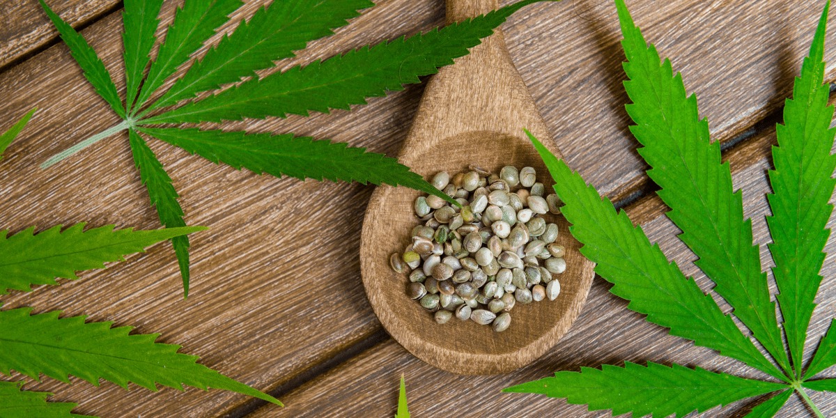 Donkey Butter Strain Packs at Bud Cargo – Heavy-Hitting Cannabis Delivered