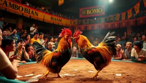 Engaging atmosphere of đá gà trực tiếp thomo featuring a vibrant arena with spectators and betting tables.