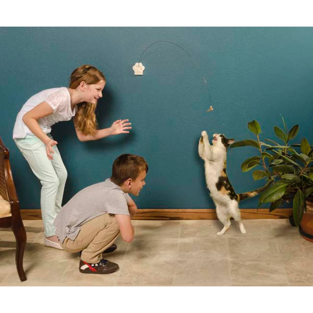 Cat Toy Springs – Stimulate Your Cat’s Playtime with Catshoponline