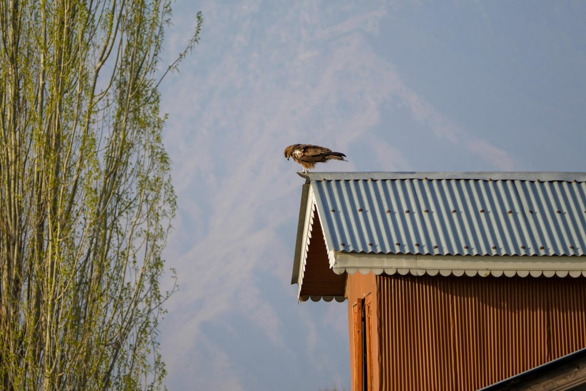 Metal roofing Installation Designed for Peace of Mind