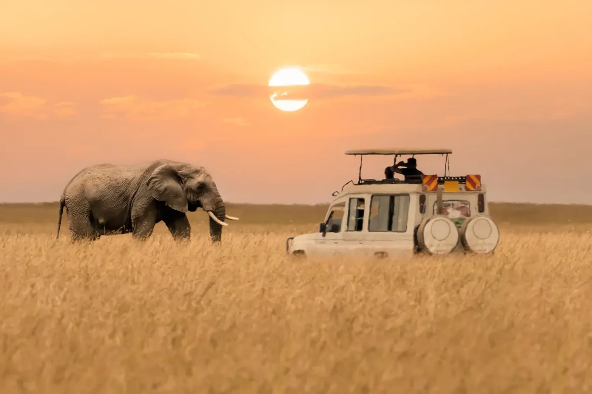 Tanzania Safari Experiences Beyond Standard Tourist Routes